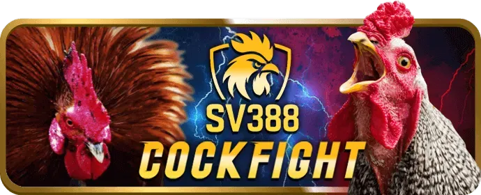 Hình ảnh minh họa các chương trình bet69 ưu đãi hấp dẫn